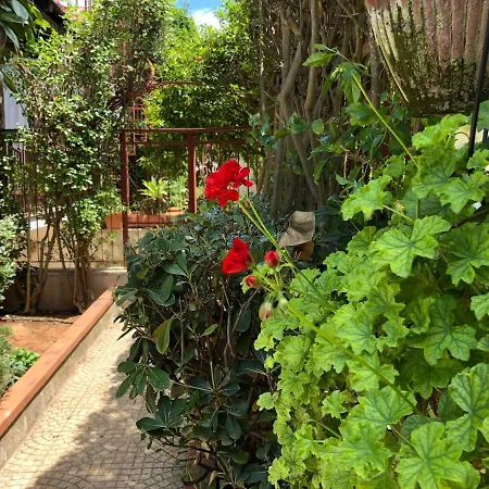 Casa Euridice Villa *